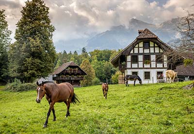 Ballenberg - Swiss Open-Air Museum